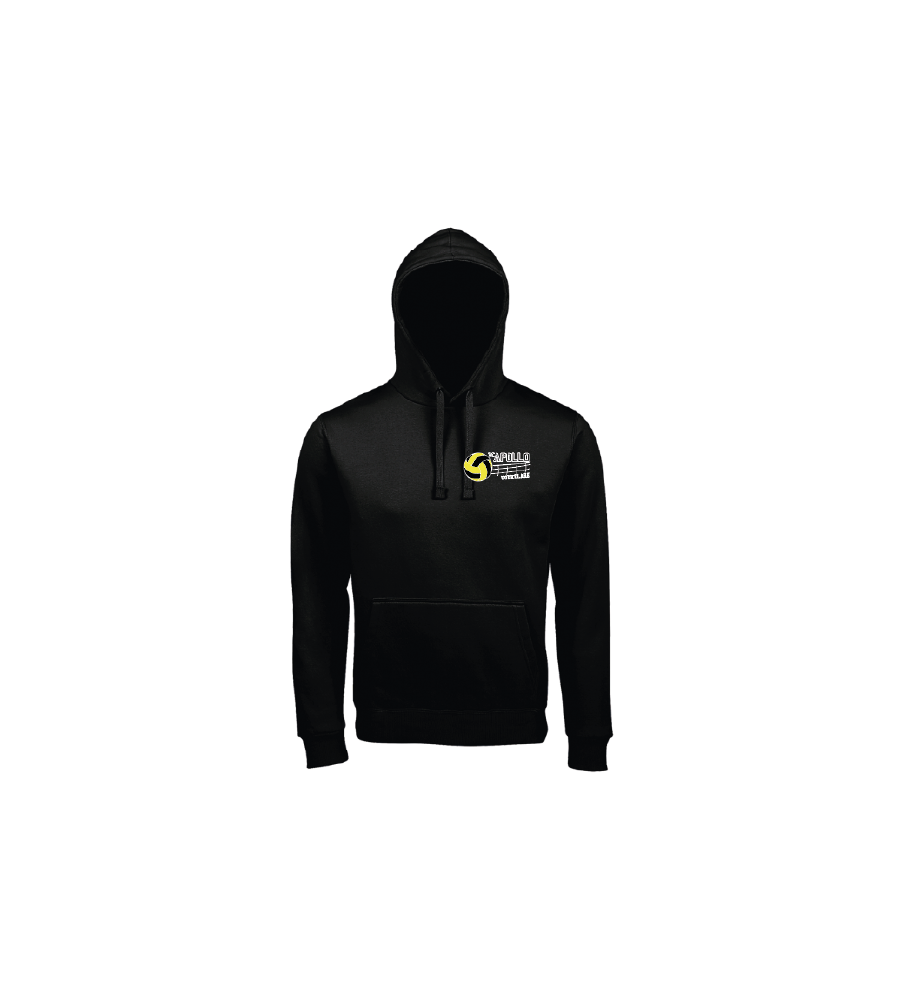Spencer hooded sweater-zw