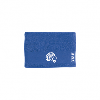 badhanddoek groot