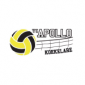 VC Apollo Koekelare